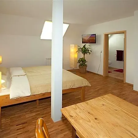 Zum Alten Schlawiner Hotel